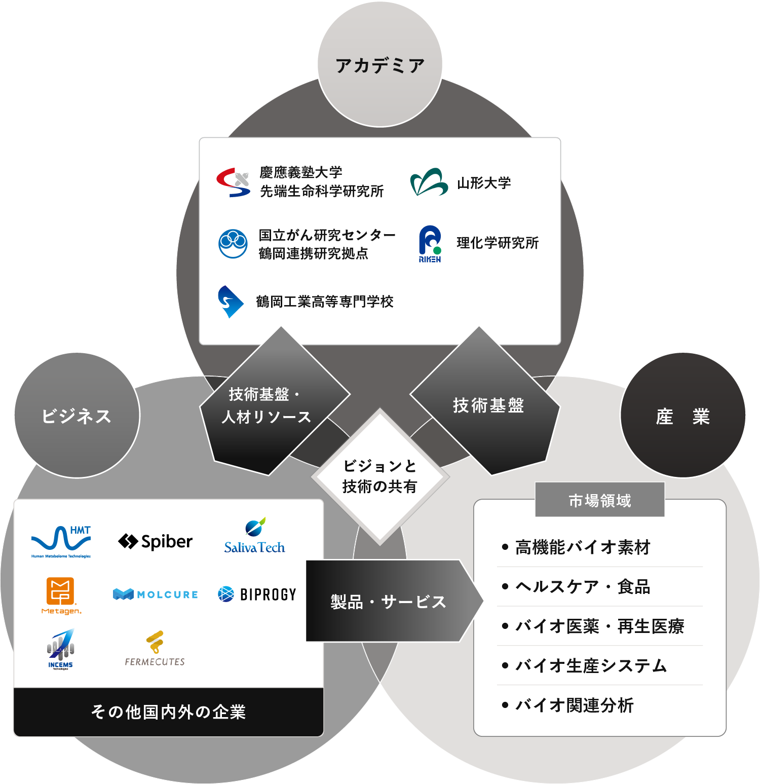 バイオコミュニティの図