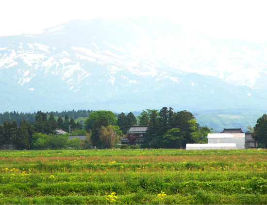 食材の宝庫「庄内」の風景