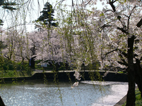 鶴岡公園