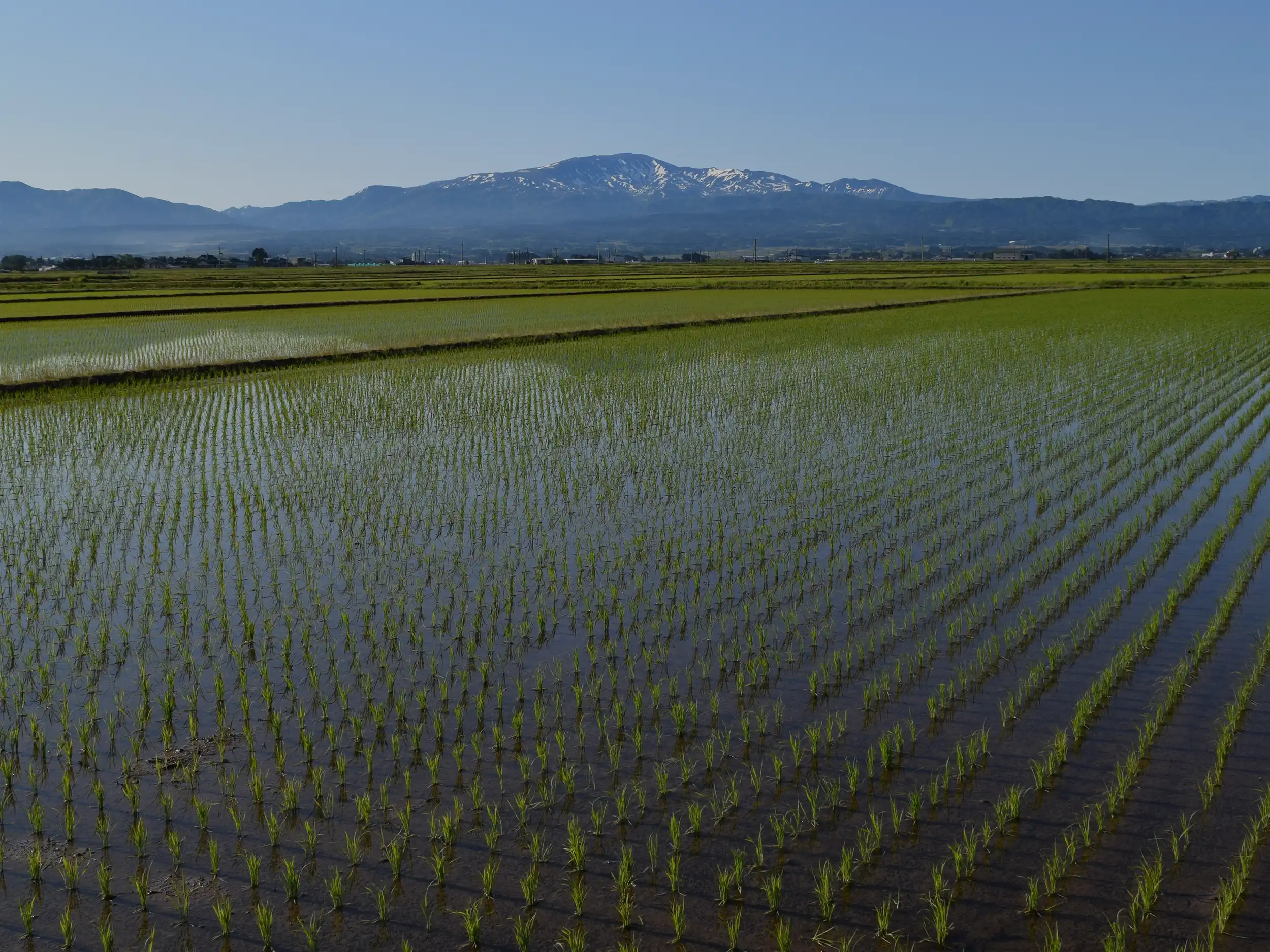 メイン画像2田園