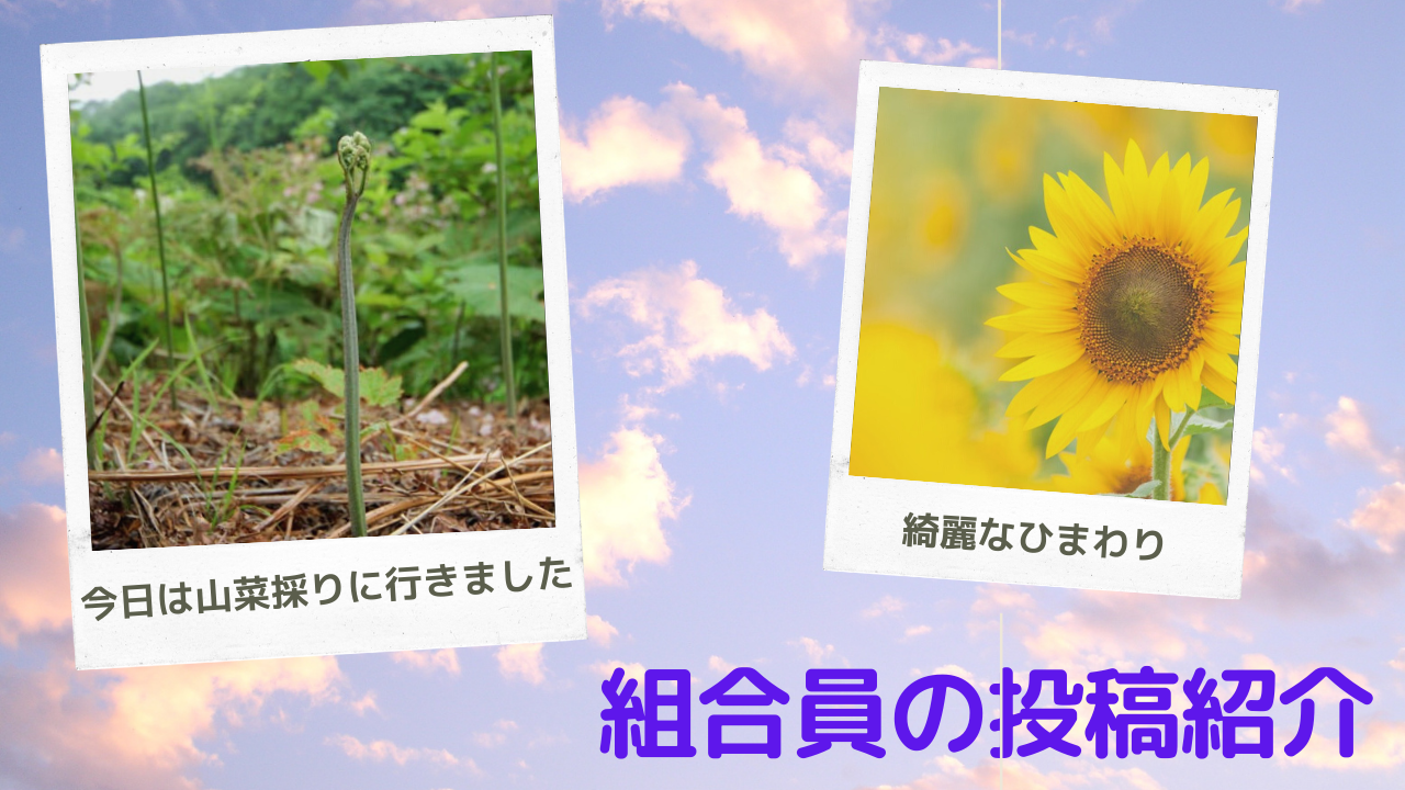 組合員の投稿紹介